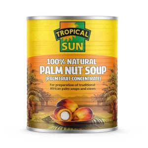 TS PALMNUT SOUP