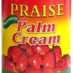 PRAISE PALMNUT CREAM  12 X 400G