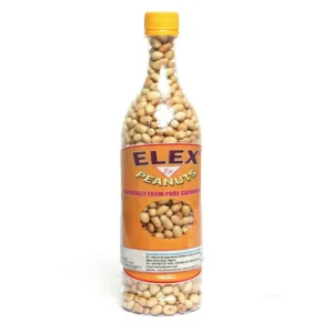 ELEX PEANUTS LARGE CASE 10