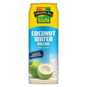 TS COCONUT WATER NATURAL 330ML C